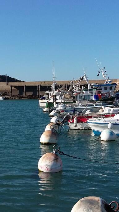 Villa Entre Golfe Et Ocean La Trinité-Surzur Esterno foto